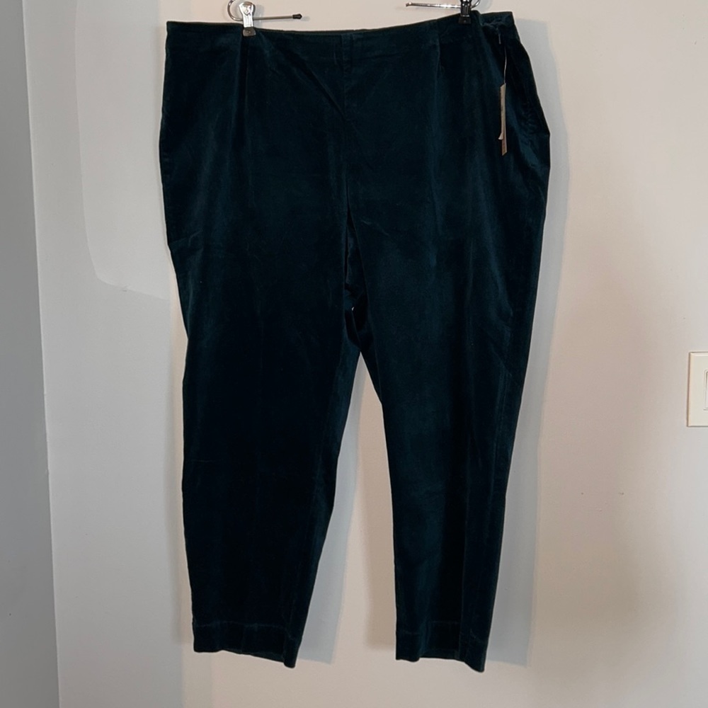 NWT Gorgeous Peacock Velveteen Audrei Pants Size 24